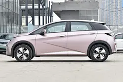 New Energy Vehicles
